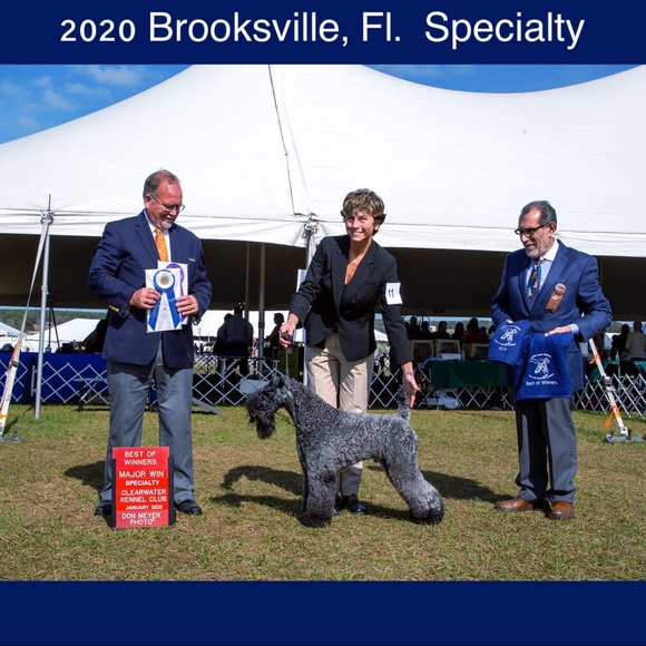 Meet your Posher, Melody - Picture 4 of 10